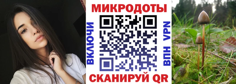 Псилоцибиновые грибы прущие грибы  где продают наркотики  Сурск 